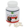 Colafit 5 100tob 1111202116005024145