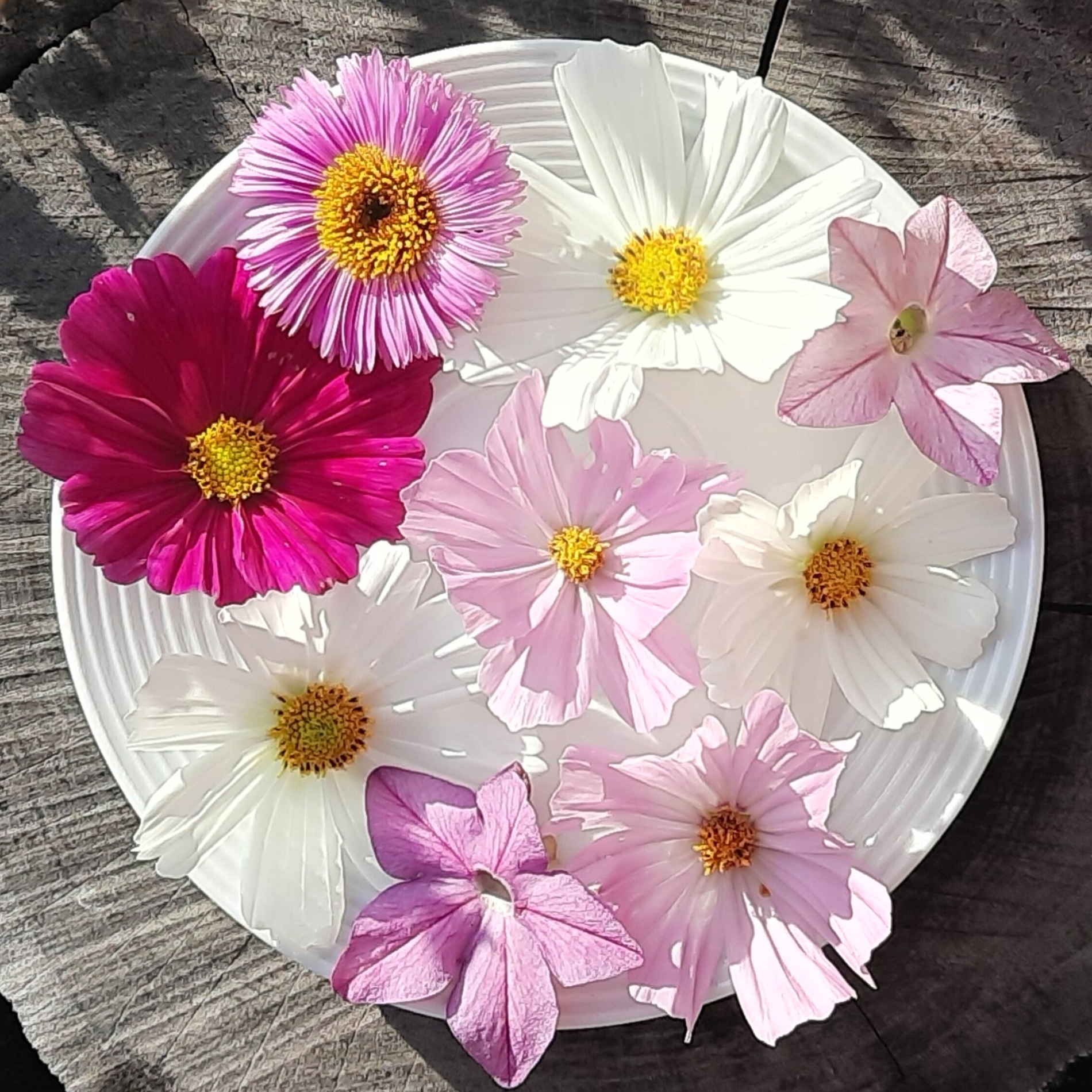 Myšlenkové kotvy: 9 připomenutí, které posílí tvé sebevědomí