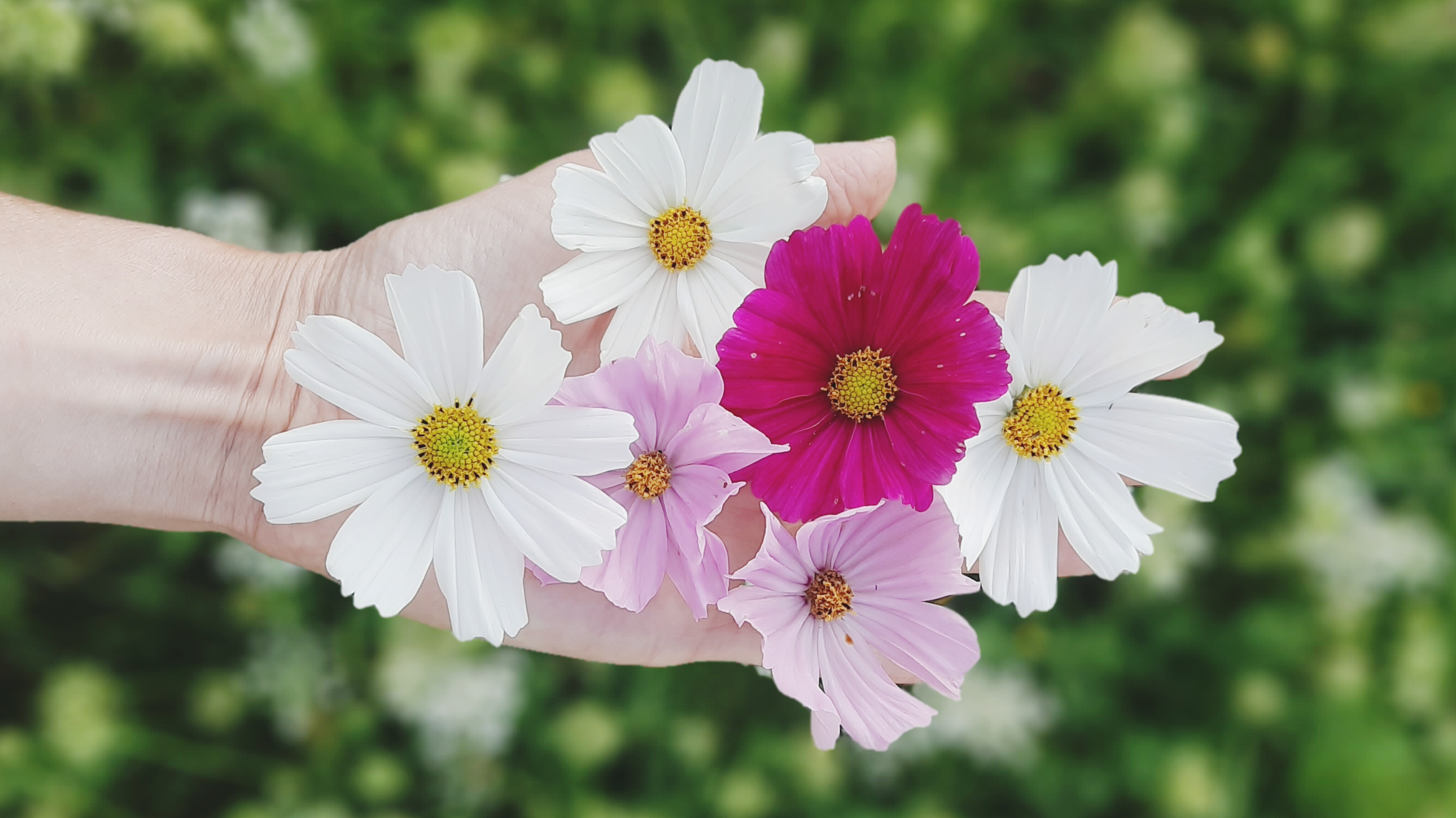 InShot_20251106_104441845