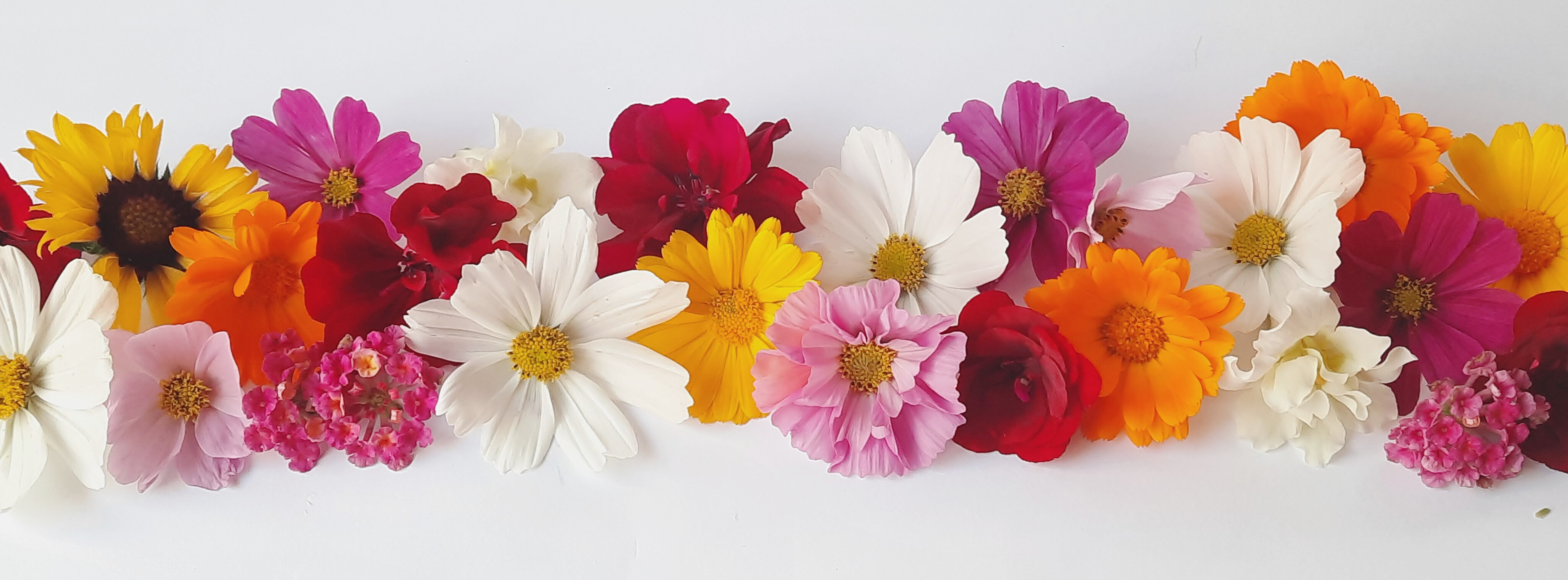 InShot_20251113_152447444_1