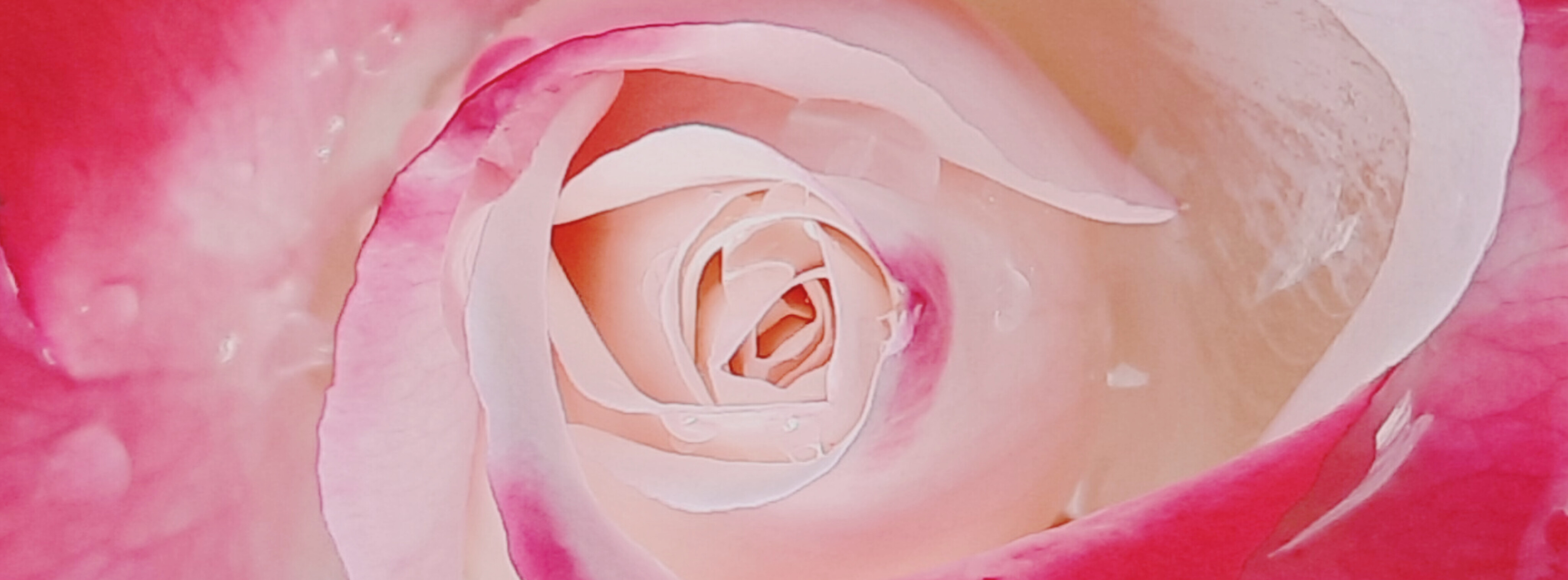 InShot_20251210_172748788