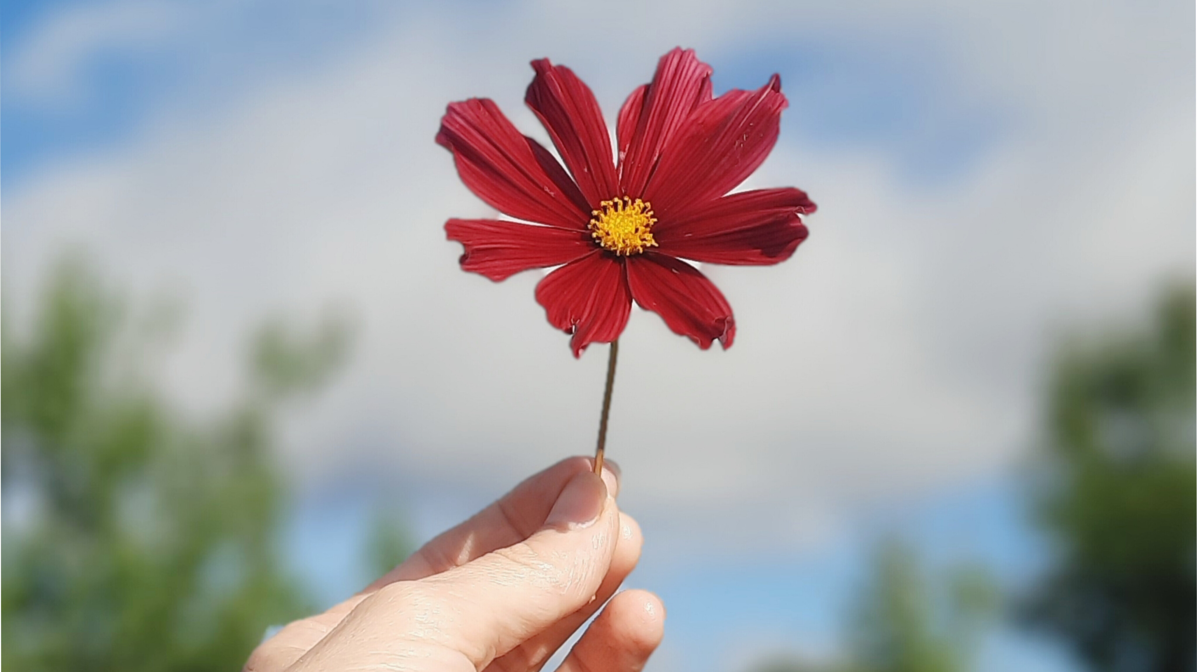 miluju-svou-menstruaci