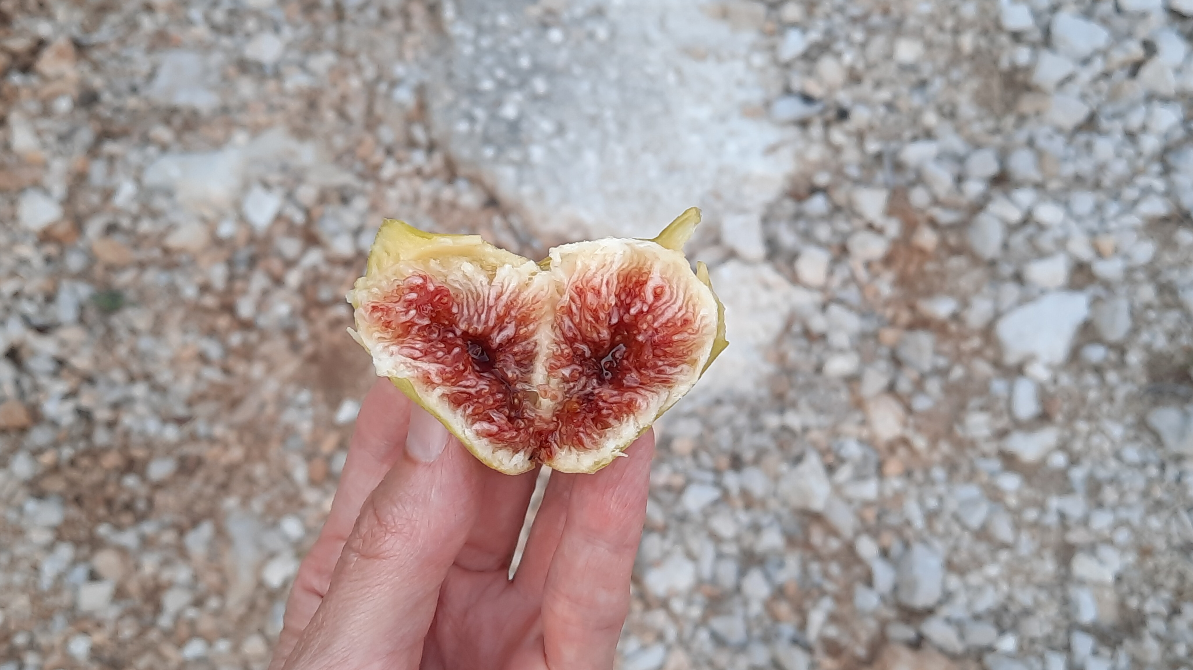 svoboda-prirozenost-pravdivost