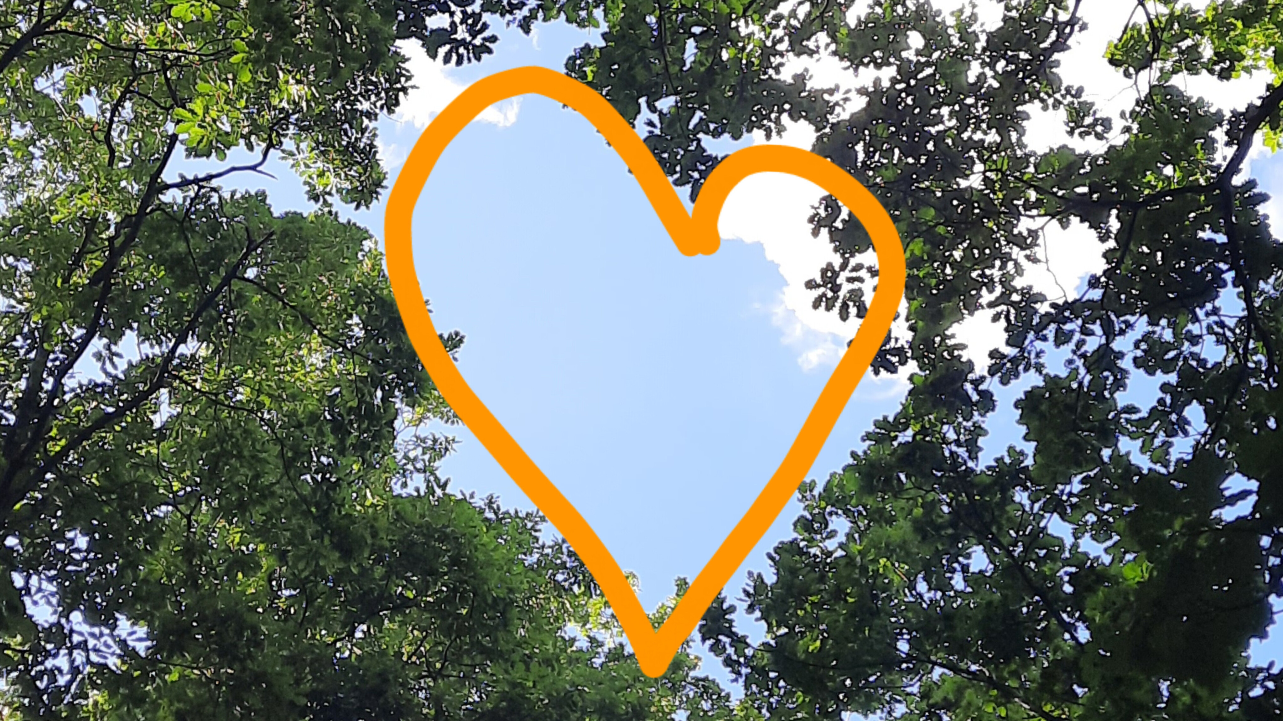 zena-sebelaska-sebevedomi