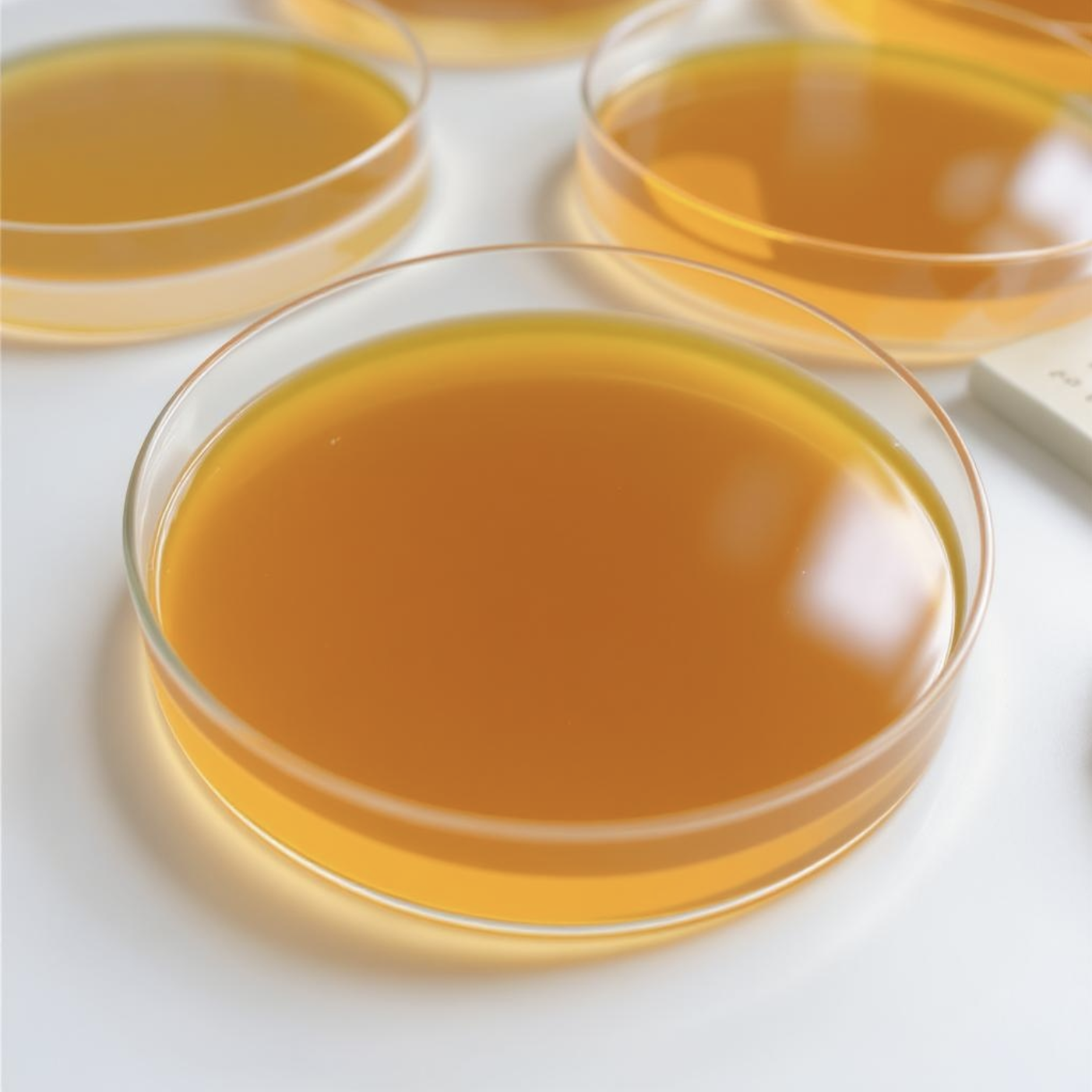 Agar: Tajemství našeho ovocného želé