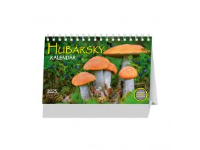 Hubarsky kalendar OB 230x140 2024