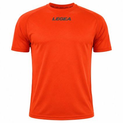 Legea295