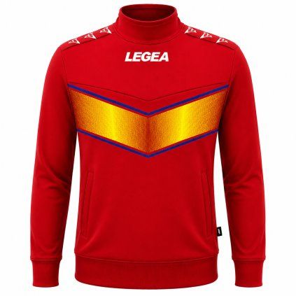 Legea231