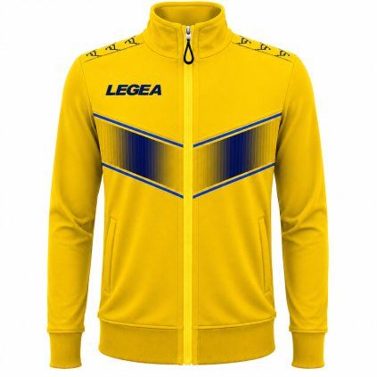 Legea197