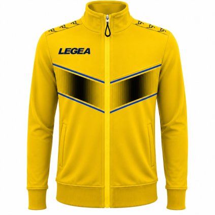 Legea196
