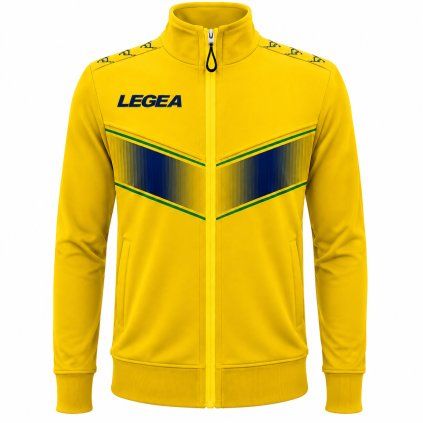Legea193