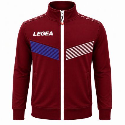 Legea119