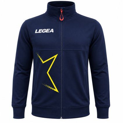 Legea131