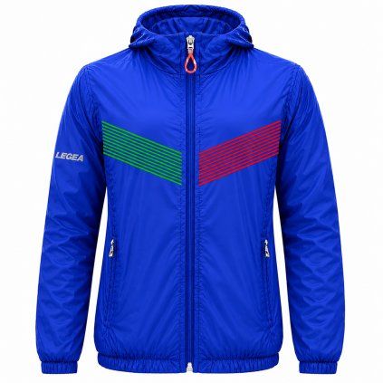 Legea291