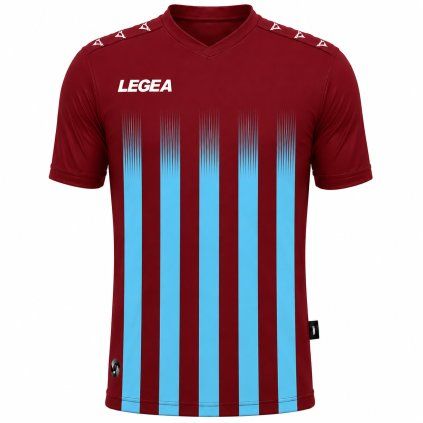 Legea80