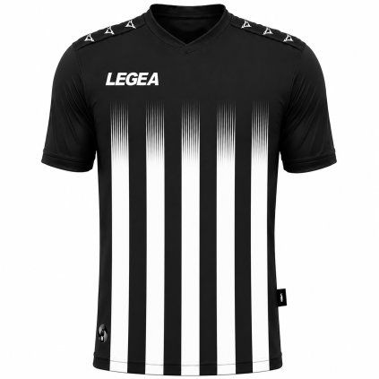 Legea85