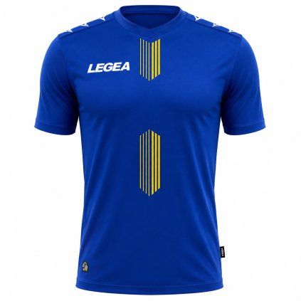 Legea317