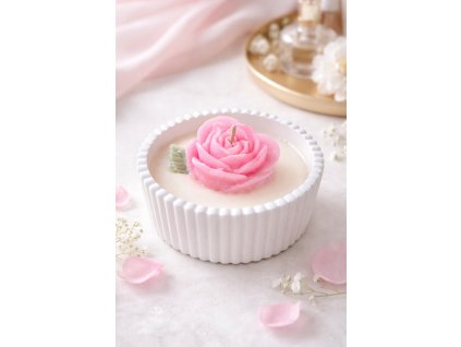 BC2466D2 0F75 419F A082 E46AE5B2352B