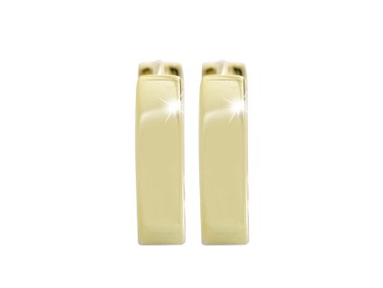 16585 pozlacene stribrne nausnice krouzky ciste kovove bez krystalu stribro 925 1000