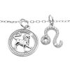 16495 1 stribrny nahrdelnik dva privesky znameni zverokruhu s kubickymi zirkony lev stribro 925 1000
