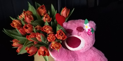 Jak se starat o květinové boxy