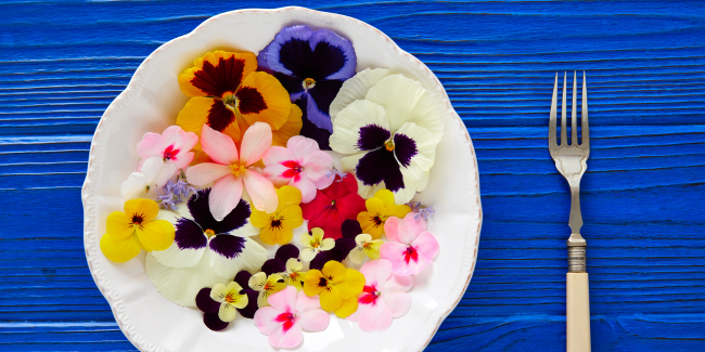 Květiny v kuchyni - krása, která chutná