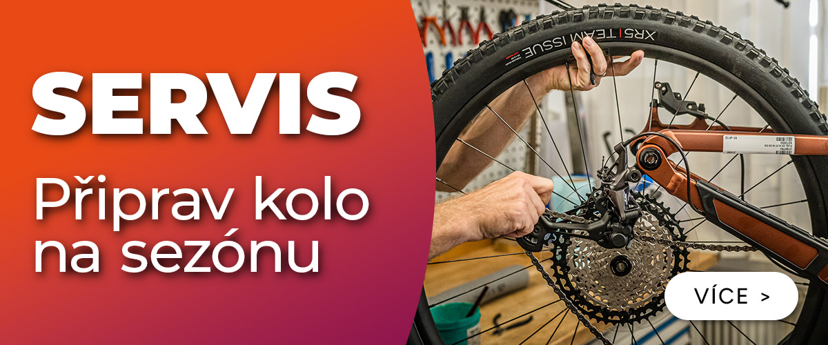 Servis