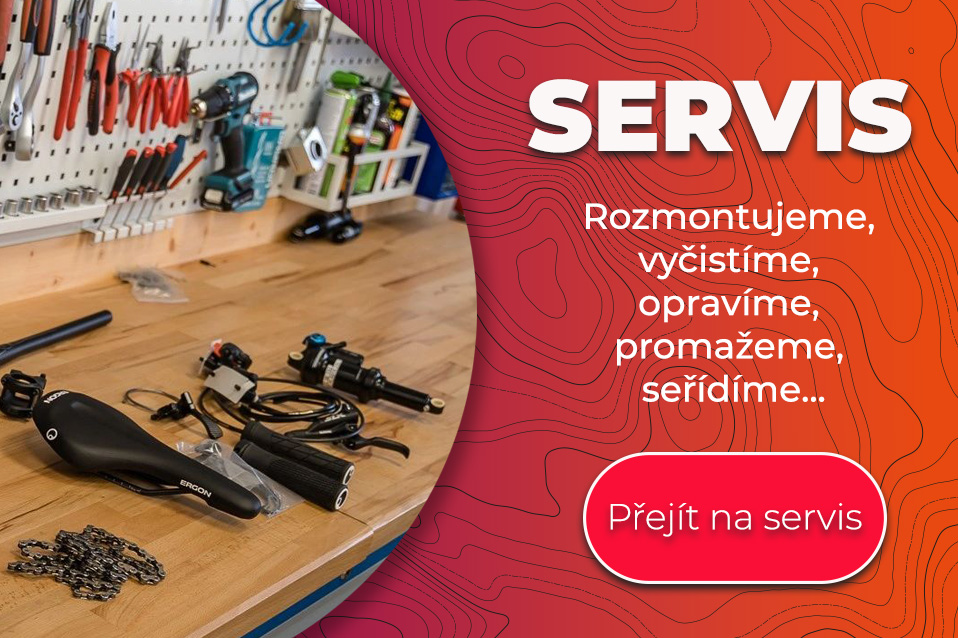 Servis