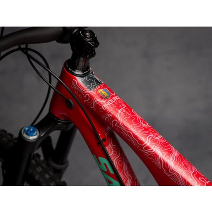 EWS WHITE 3