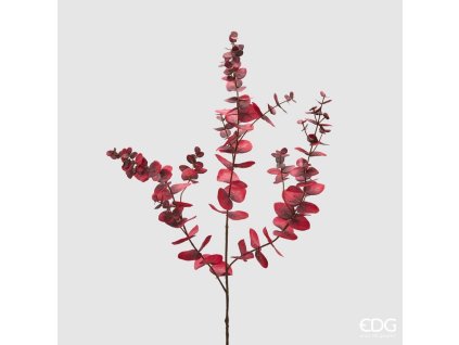Bordový Eucalyptus - 105cm