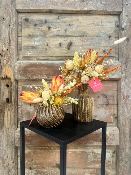 Protea v zemitých tónoch