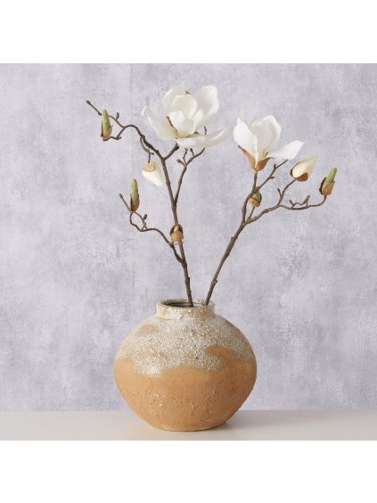 2057758 Ambientebild