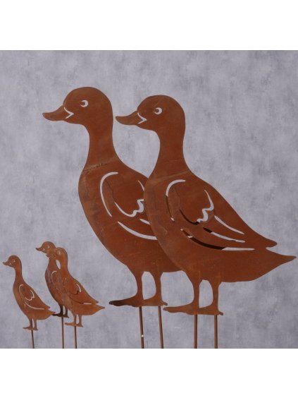 2057064 Ambientebild