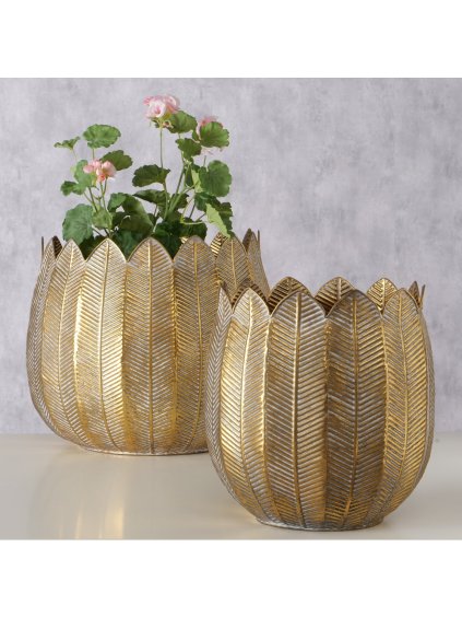 2079827 Ambientebild