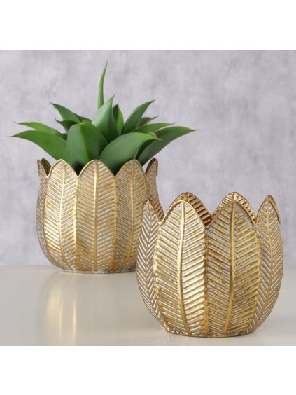 2079828 Ambientebild