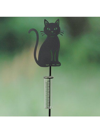 Ambientebild 5ROuED3s zoom