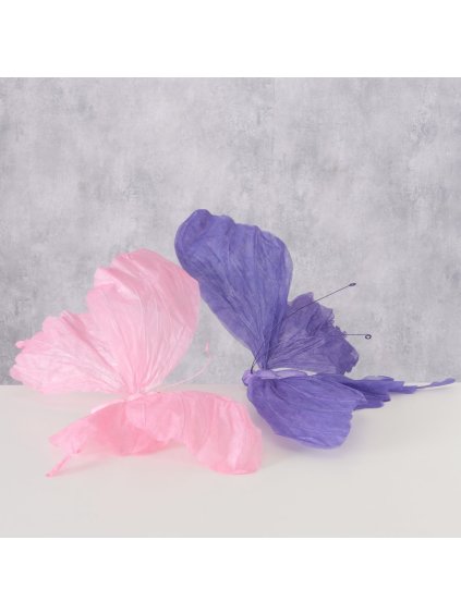 2080113 Ambientebild