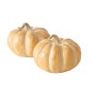 Okrasná tekvica Merano 10,5cm (Variant A)