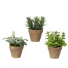 Umelé bylinky v kvetináči 17cm (Variant A)