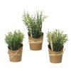 Umelé bylinky v kvetináči 20cm (Variant A)