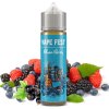 prichut vape fest sv 10ml blues berry