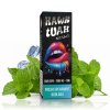 Hawk Tuah Salt - Fresh Spearmint Koolada - 10ml - 20mg, produktový obrázek.