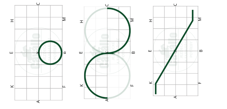 Základní drezurní figury: část první