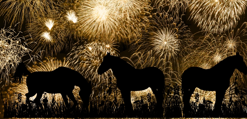 Jak připravit koně na Silvestra