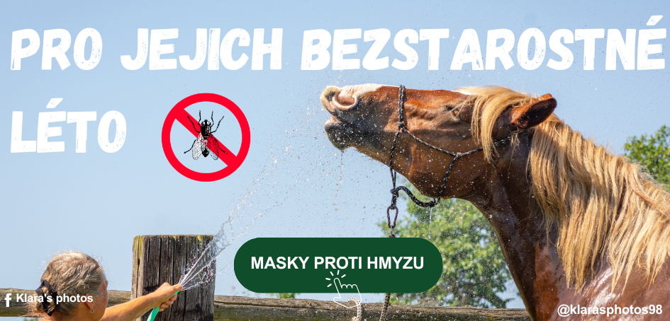 hmyz_pc