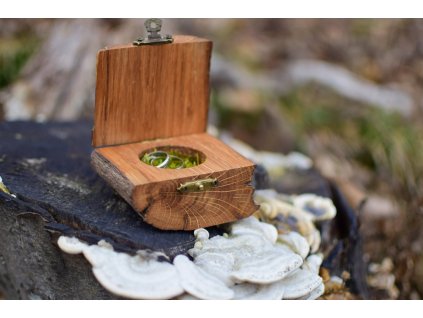 B1CA1F58 7771 4A7C 940F 0B71CE21AAFE