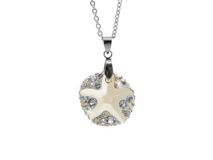 Ocelový náhrdelník s kamenem ve tvaru hvězdice doplněný krystaly Swarovski Golden Shadow