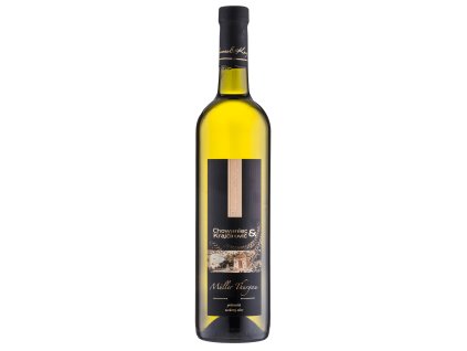 Muller Thurgau neskory zber polosuche