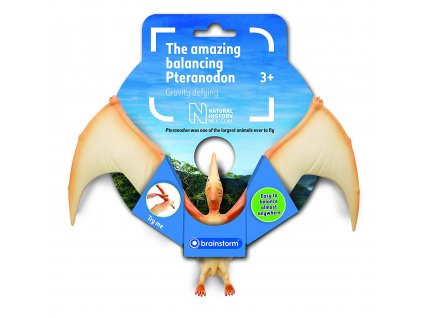 Pteranodon v rovnováze