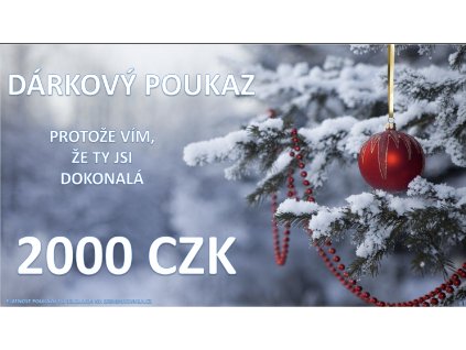 Snímek obrazovky 2023 12 16 v 13.14.55
